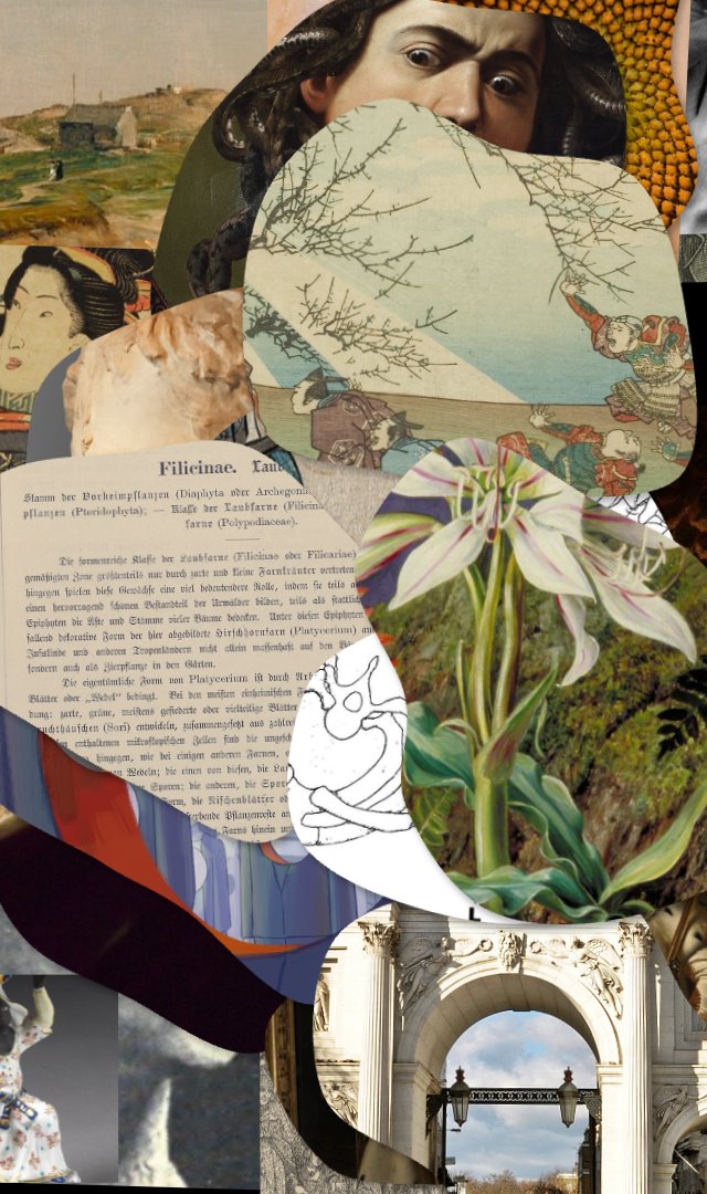WOF #0986, still frame