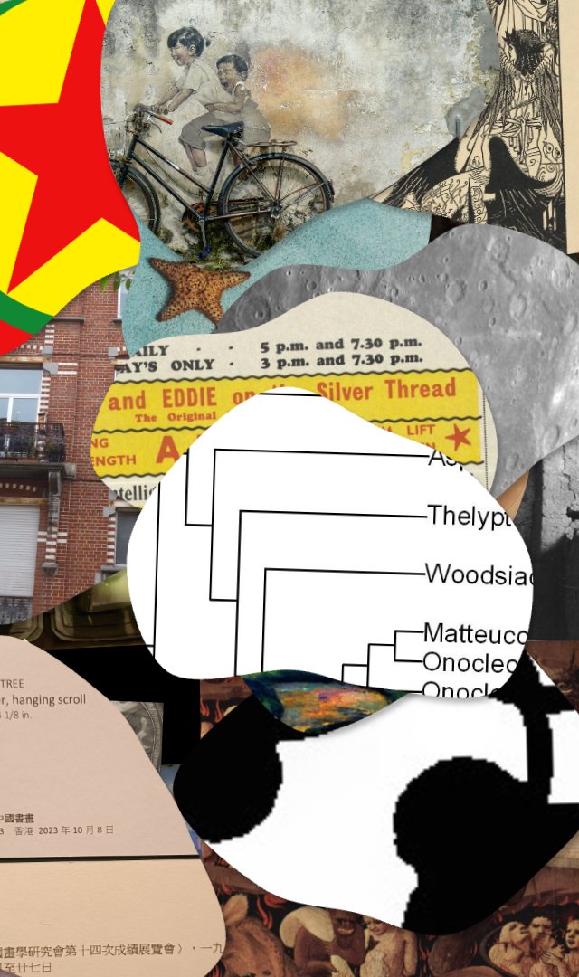 WOF #1025, still frame