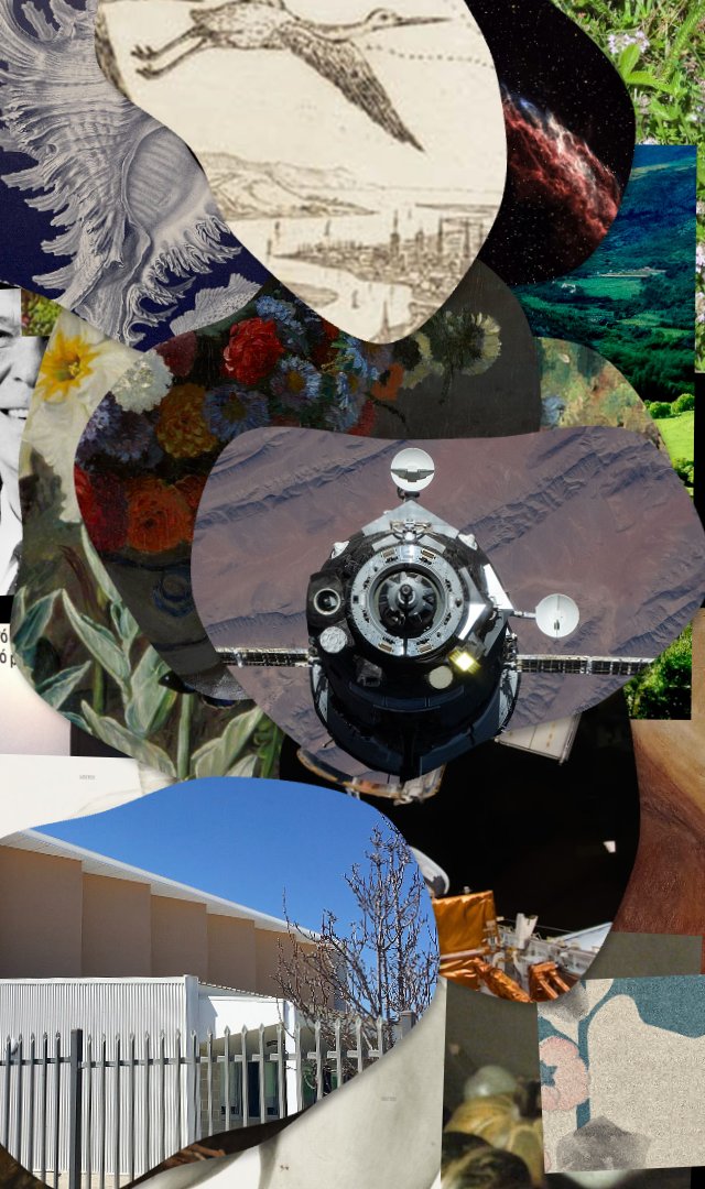 WOF #1060, still frame