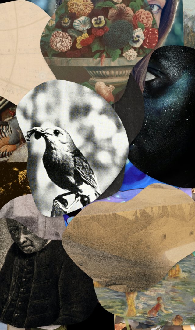 WOF #1066, still frame